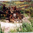 Straice 1992 – 1993, 2 tankov prapor, 5 tankov rota